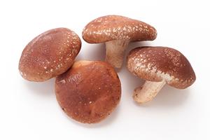 豊富なラインナップからゴマ豆腐を購入