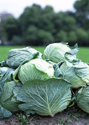 贅沢な味わいを求める方へ。神戸牛の魅力と購入方法を徹底解説