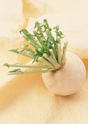 福岡県庁前のピザポケット：新たな美味しさの発見