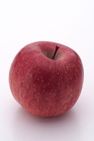 新宿で極上の牡蠣体験！「Oyster Bar ジャックポット 新宿」の魅力と店舗情報